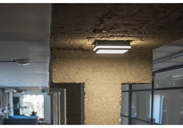 Kanlux 33343 - LED Vonkajšie svietidlo BENO LED/24W/230V 4000K antracit IP54