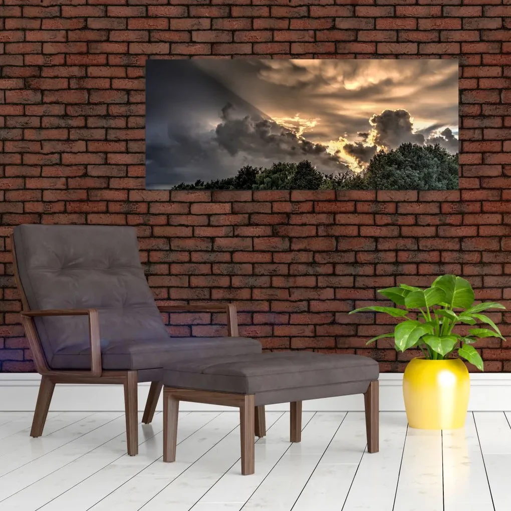 Obraz mračien a lesa (120x50 cm)