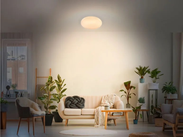 Livarno home Stropné LED svietidlo (hviezdna obloha) (100353852)