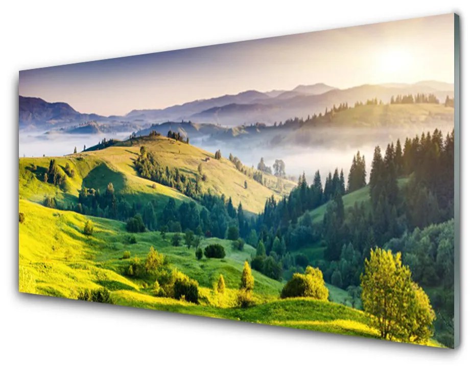 Obraz na skle Hora pole hmla príroda 125x50 cm
