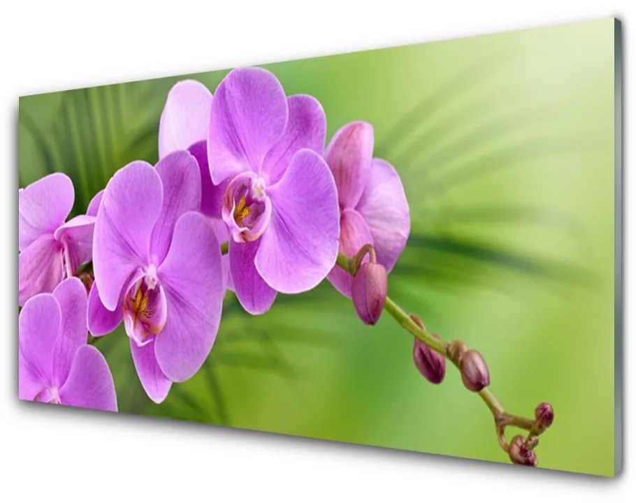 Sklenený obklad Do kuchyne Vstavač orchidea kvety 125x50 cm