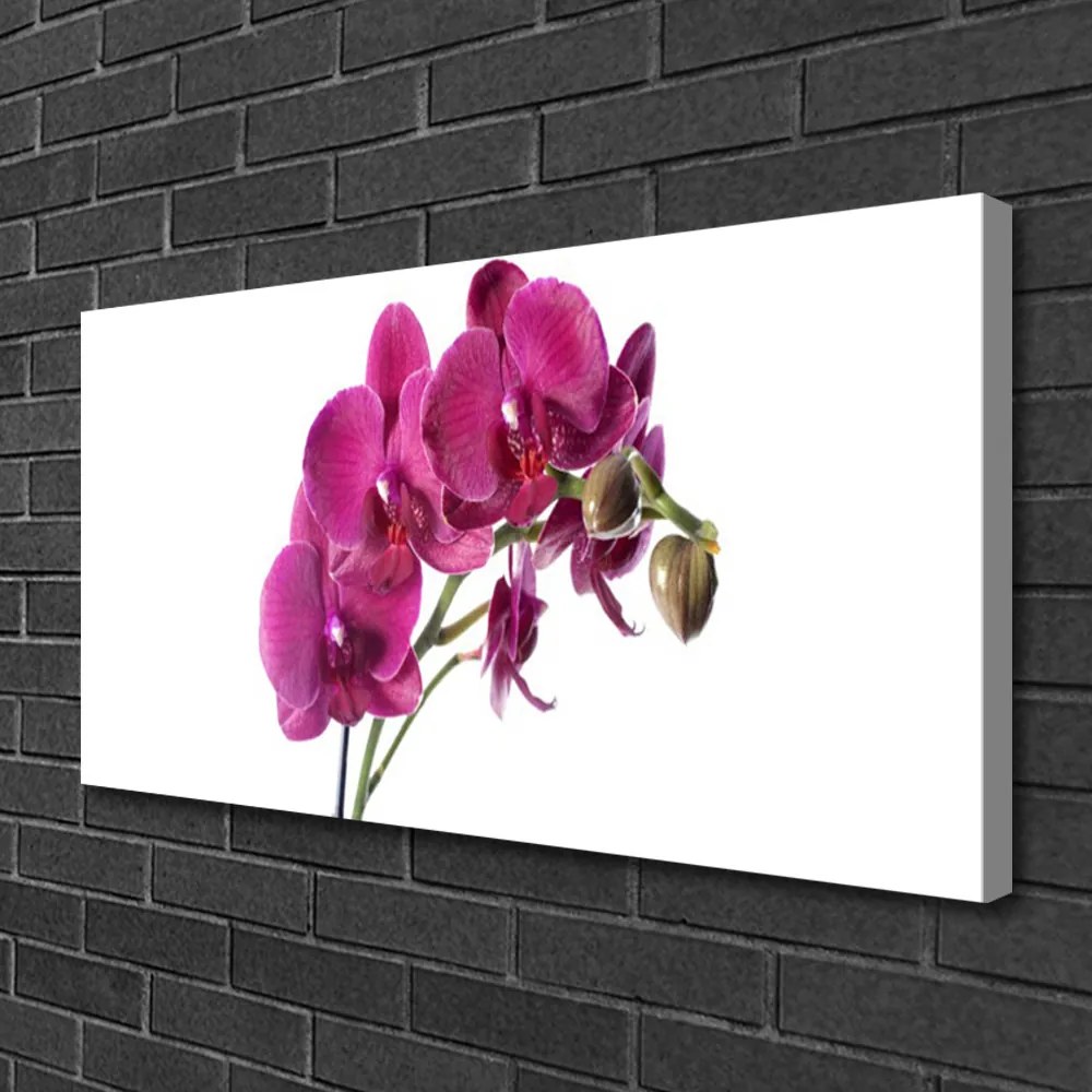 Obraz Canvas Orchidea kvety príroda 125x50 cm