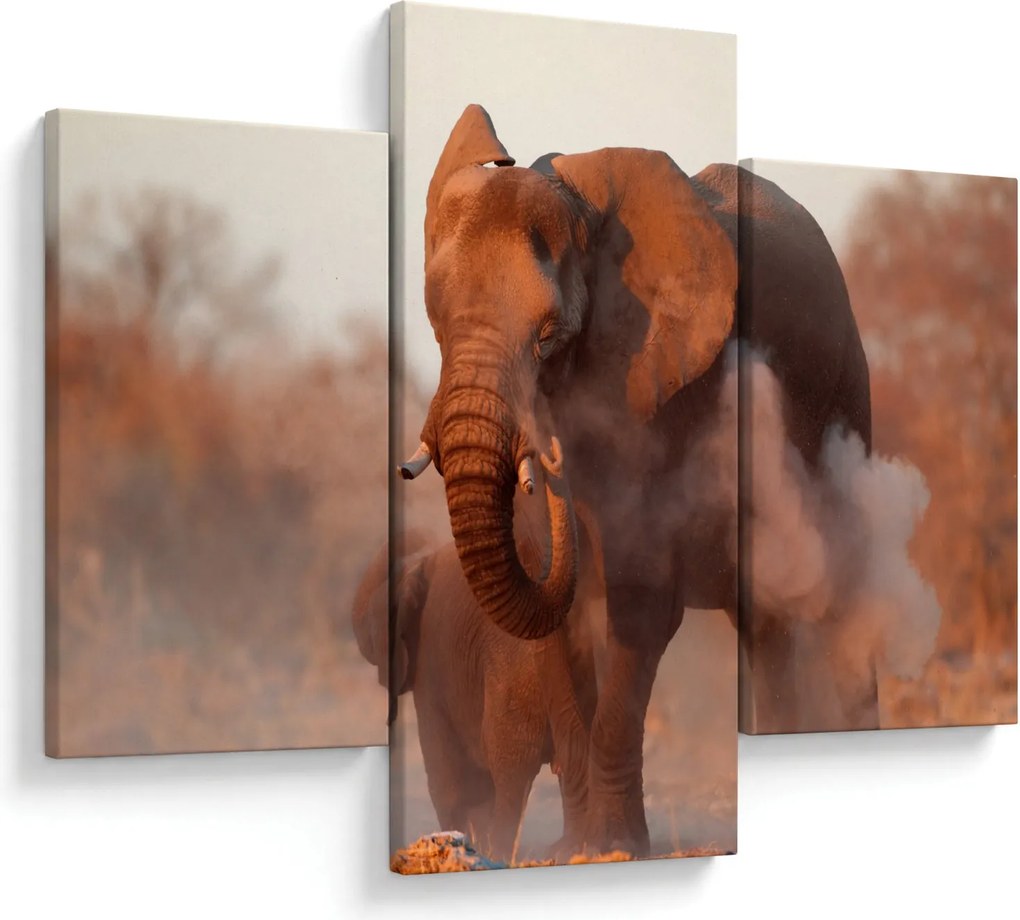 Obraz - Veľký slon africký (90x60 cm)