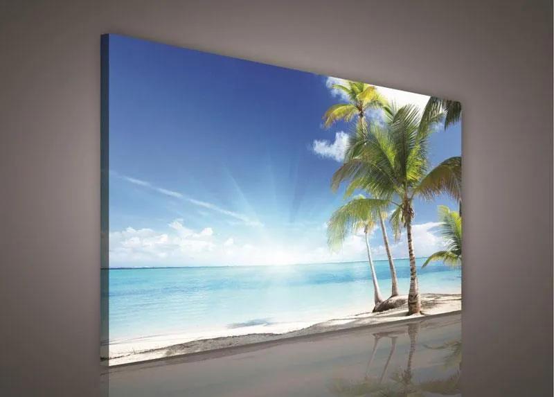 Obraz na stenu palmy na pláži 100 x 75 cm
