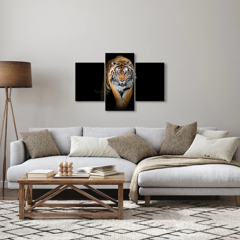 Obraz - Tiger (90x60 cm)
