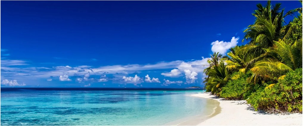 Obraz tropickej pláže (120x50 cm)