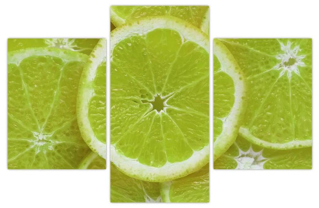 Obraz - citróny na reze (90x60 cm)