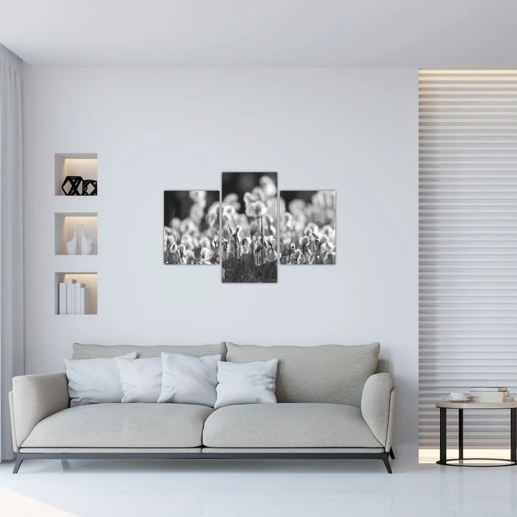 Obraz - Letná lúka (90x60 cm)