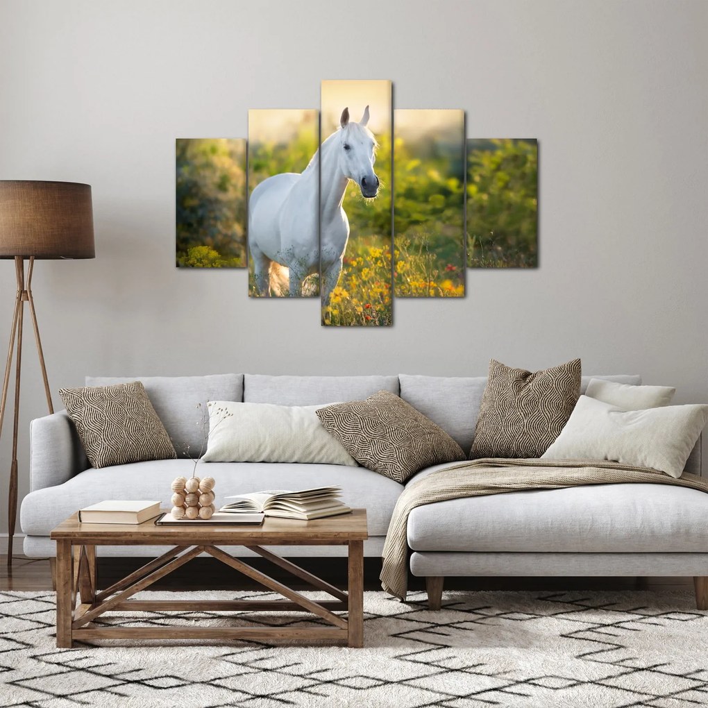 Obraz bieleho koňa na lúke (150x105 cm)
