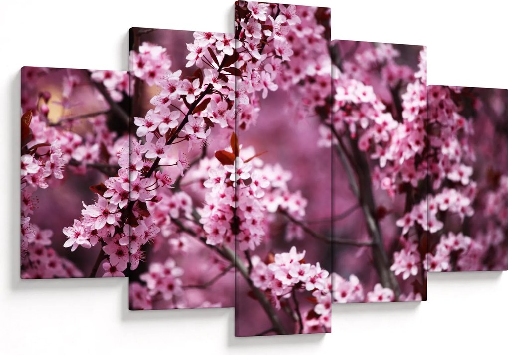 Obraz - Ružová sakura (150x105 cm)