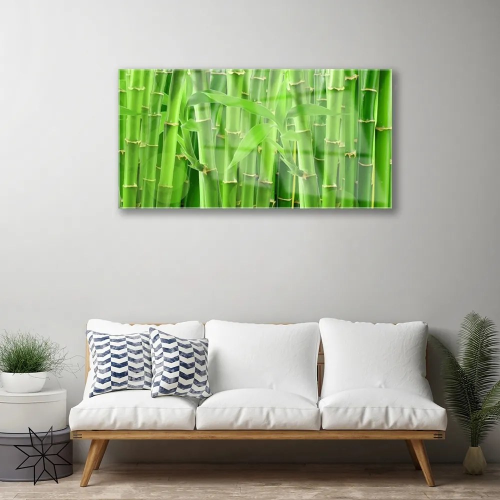 Obraz na skle Bambus stonka kvet rastlina 120x60 cm