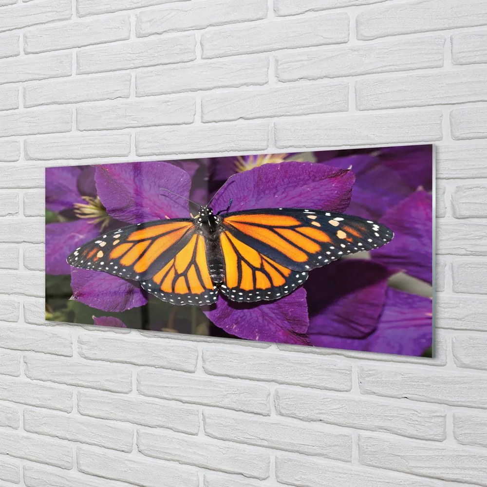 Obraz na akrylátovom skle Farebný motýľ kvety 120x60 cm