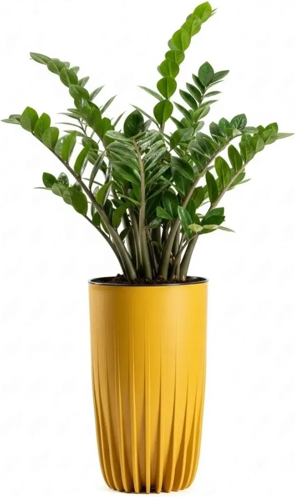 Sada 2 ks květináčů Stripped Eco hořčicová