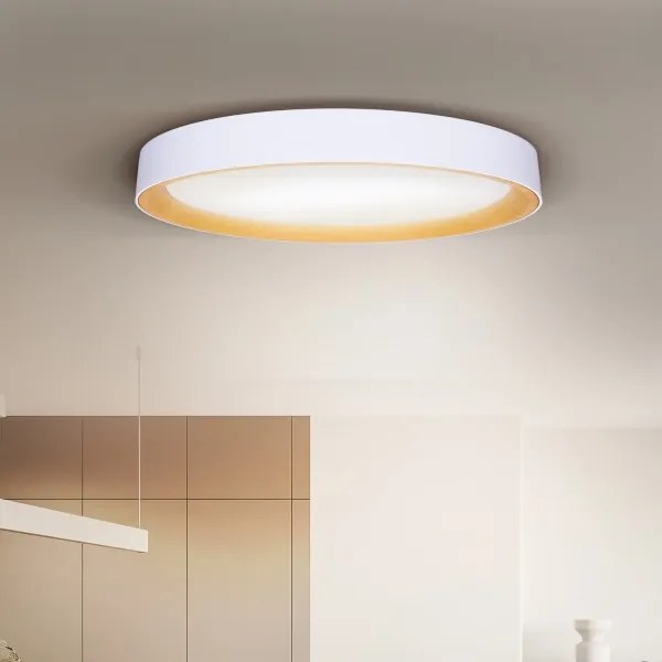 Brilagi - stmievateľné LED stropné svietidlo LARIOS, 72 W, 230 V, biela, pr. 59 cm + diaľkový ovládač