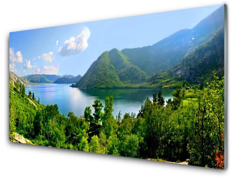 Obraz na akrylátovom skle Les jazero hory príroda 100x50 cm