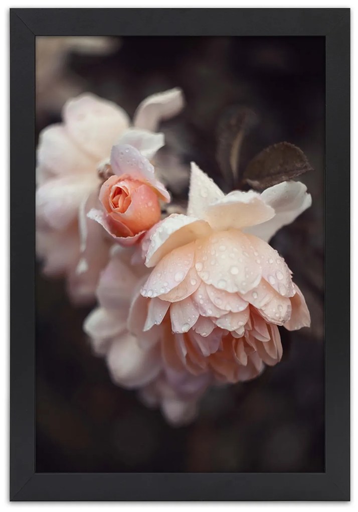 Gario Plagát Makro fotografovanie kvetov Farba rámu: Bez rámu, Rozmery: 30 x 45 cm
