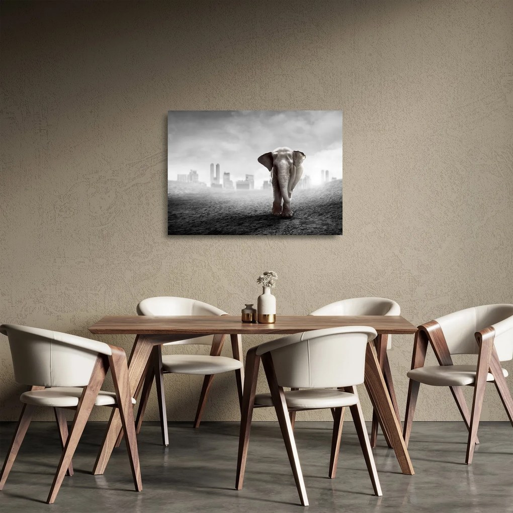 Sklenený obraz - Sloník vo veľkomeste, čiernobiely variant (70x50 cm)