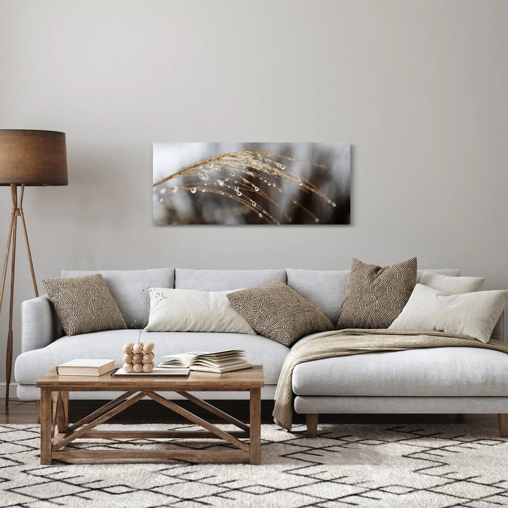 Obraz kvapiek na rastline (120x50 cm)
