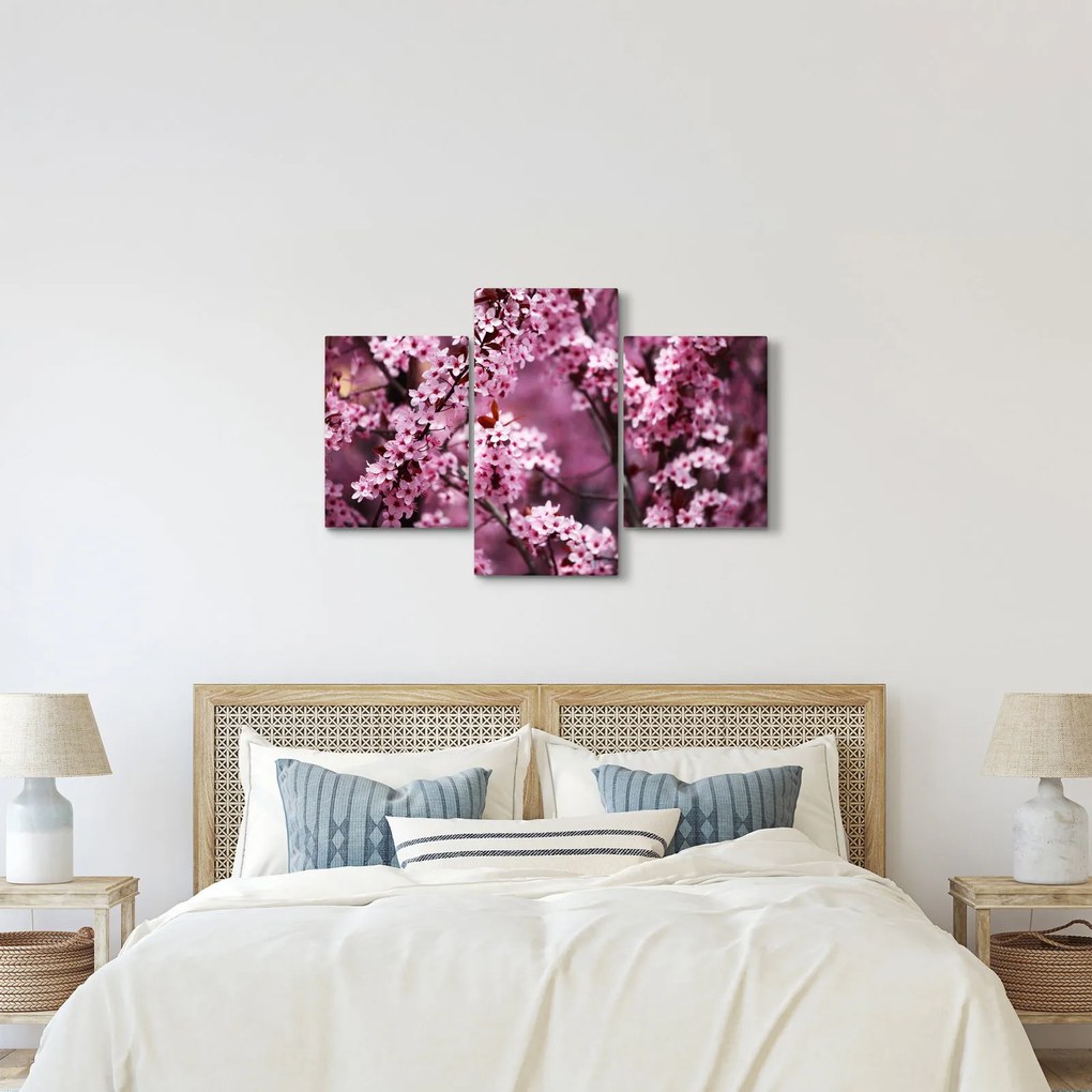 Obraz - Ružová sakura (90x60 cm)
