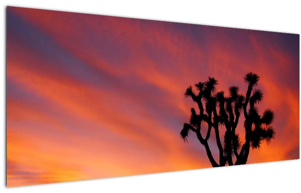 Obraz západu slnka nad siluetou stromu (120x50 cm)
