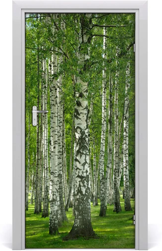 Fototapeta na dvere  Břízová les