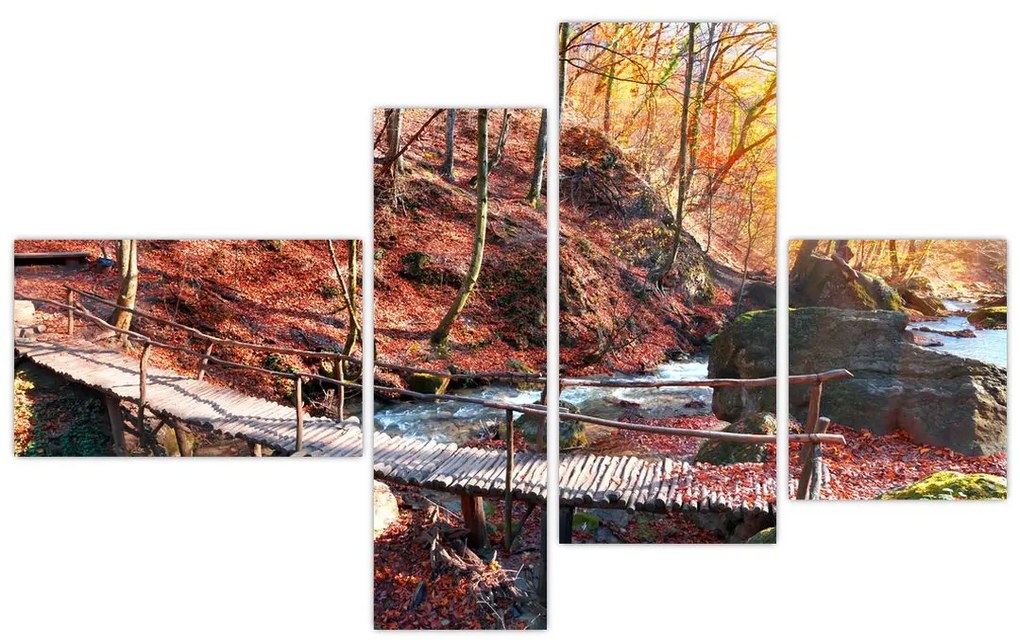 Obraz mosta - jesenné cesta lesom