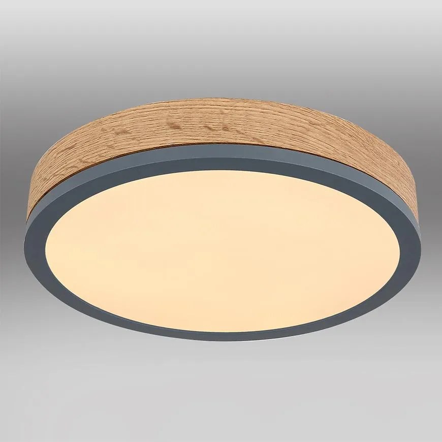 Stropnica 416080WD1R LED 12W grafit PL