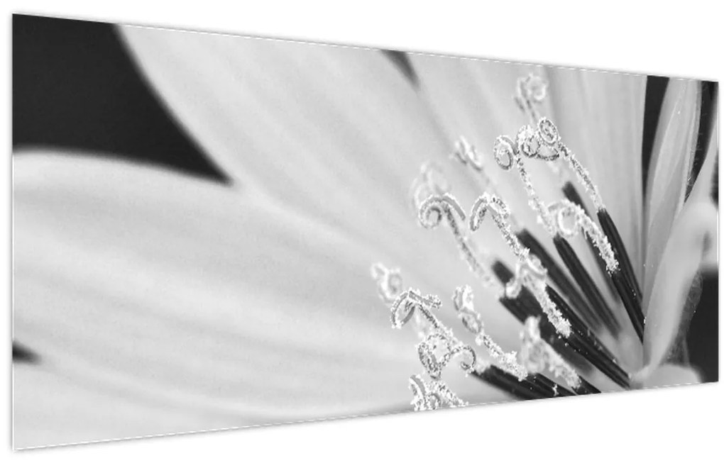 Obraz - Čiernobiely kvet (120x50 cm)