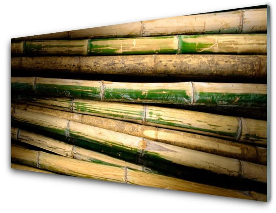 Nástenný panel  Bambus rastlina príroda 120x60 cm