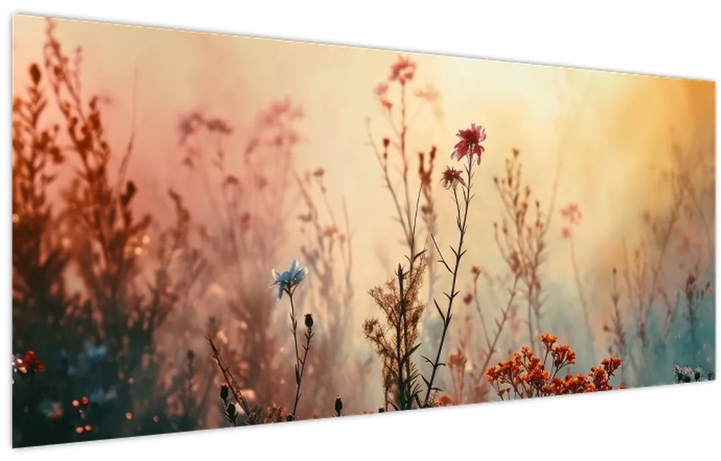 Obraz - Divoké kvety (120x50 cm)