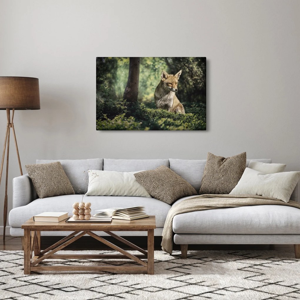 Obraz líšky (90x60 cm)