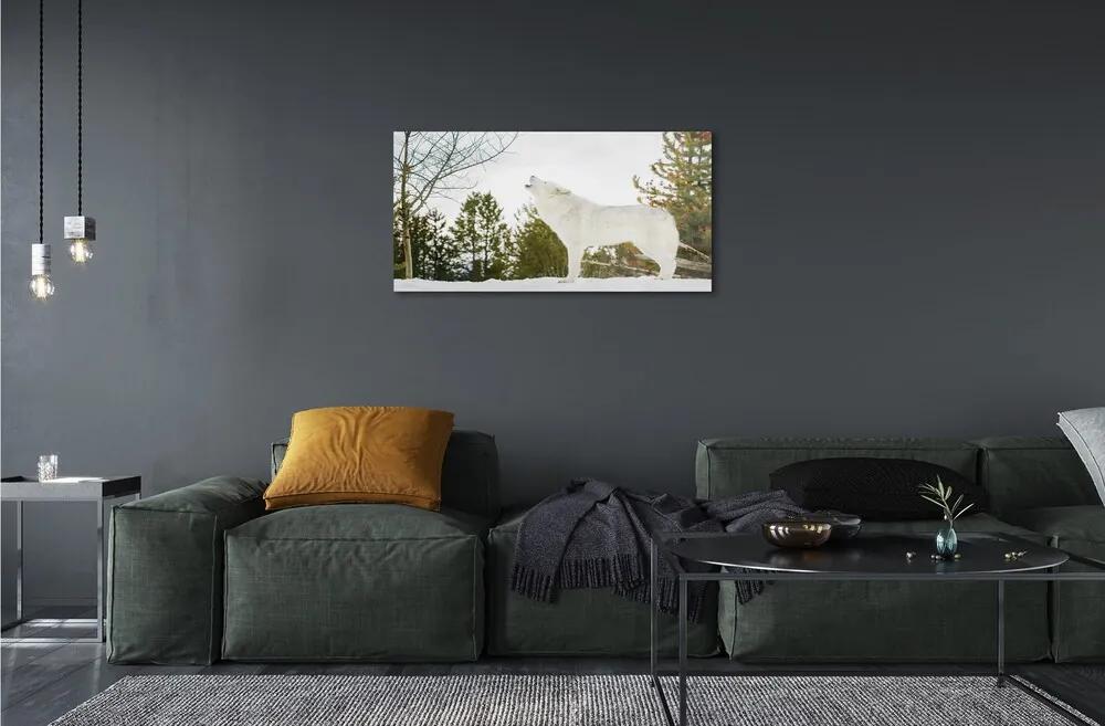 Sklenený obraz Vlk v zime lese 100x50 cm
