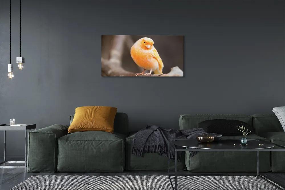 Obraz na plátne vetva papagáj 100x50 cm
