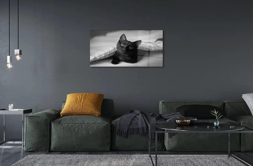 Sklenený obraz Mačka pod prikrývkou 100x50 cm