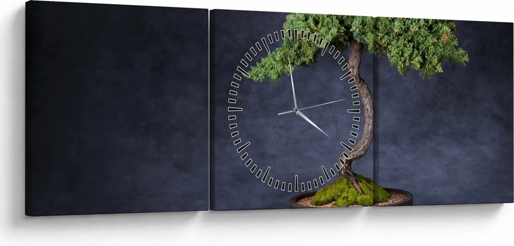 Obraz - Bonsai (s hodinami) (90x30 cm)