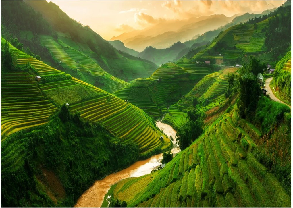 Obraz - Ryžové terasy Mu Cang Chai (70x50 cm)