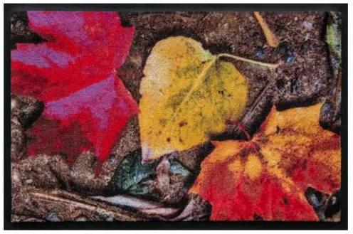 Ročné obdobia premium rohožka  - jesenné listy (Vyberte veľkosť: 100*70)