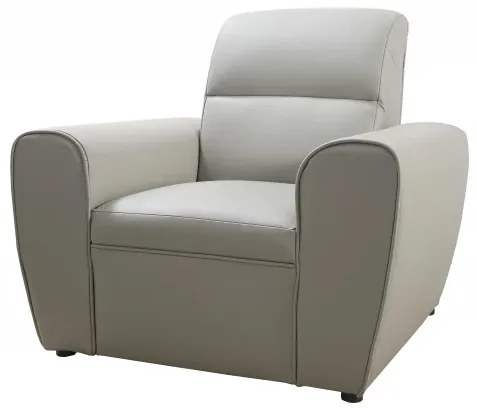 Kožené kreslo TOKIO, sivá (u-24)