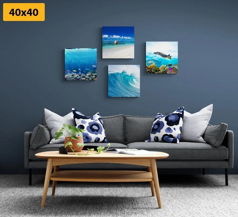 Set obrazov morský svet - 4x 60x60