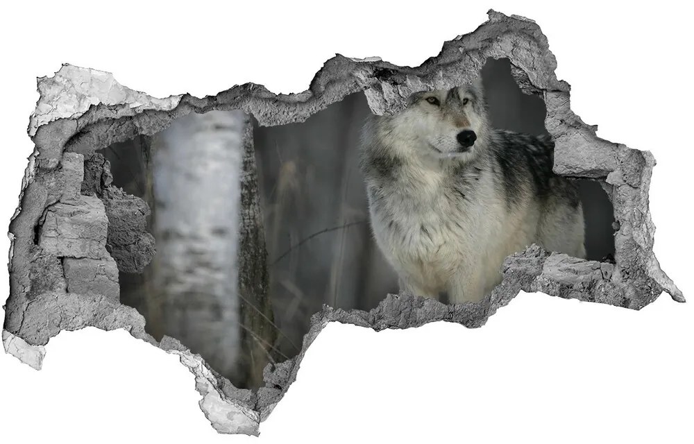 Diera 3D fototapeta na stenu Šedý vlk nd-b-57875164