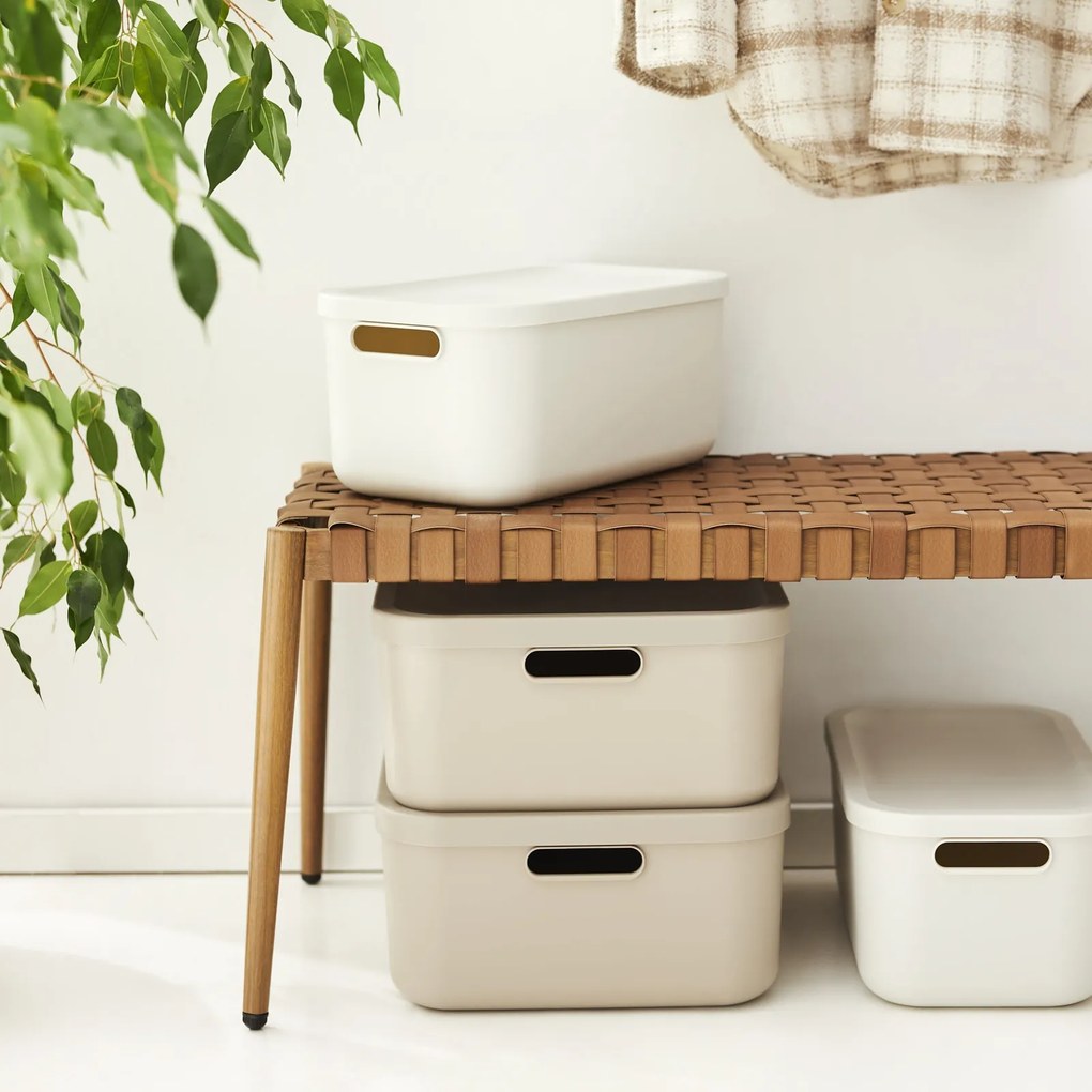 Rotho Úložný box, rovný s vekom, 20 l, cappuccino ALBU LIGHT, 40 x 36 x 18 cm