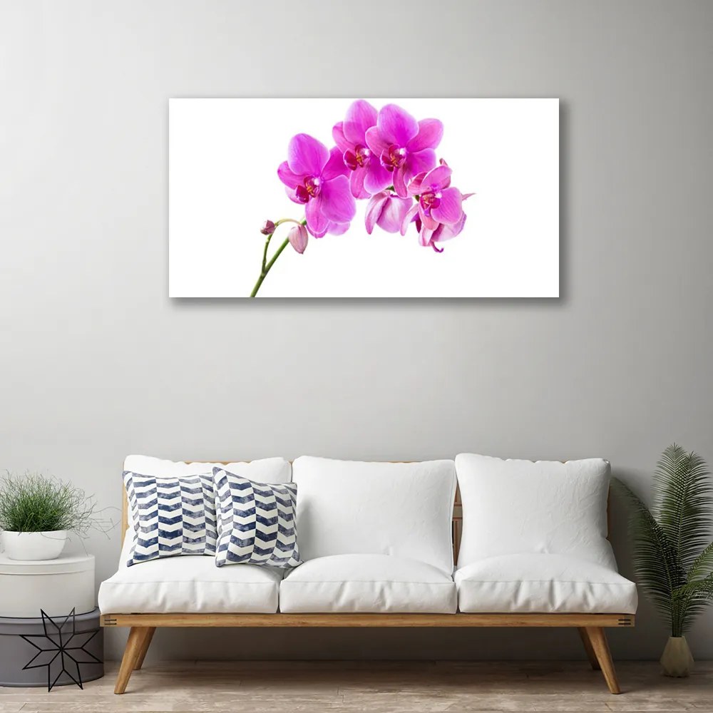 Obraz Canvas Vstavač kvet orchidea 125x50 cm