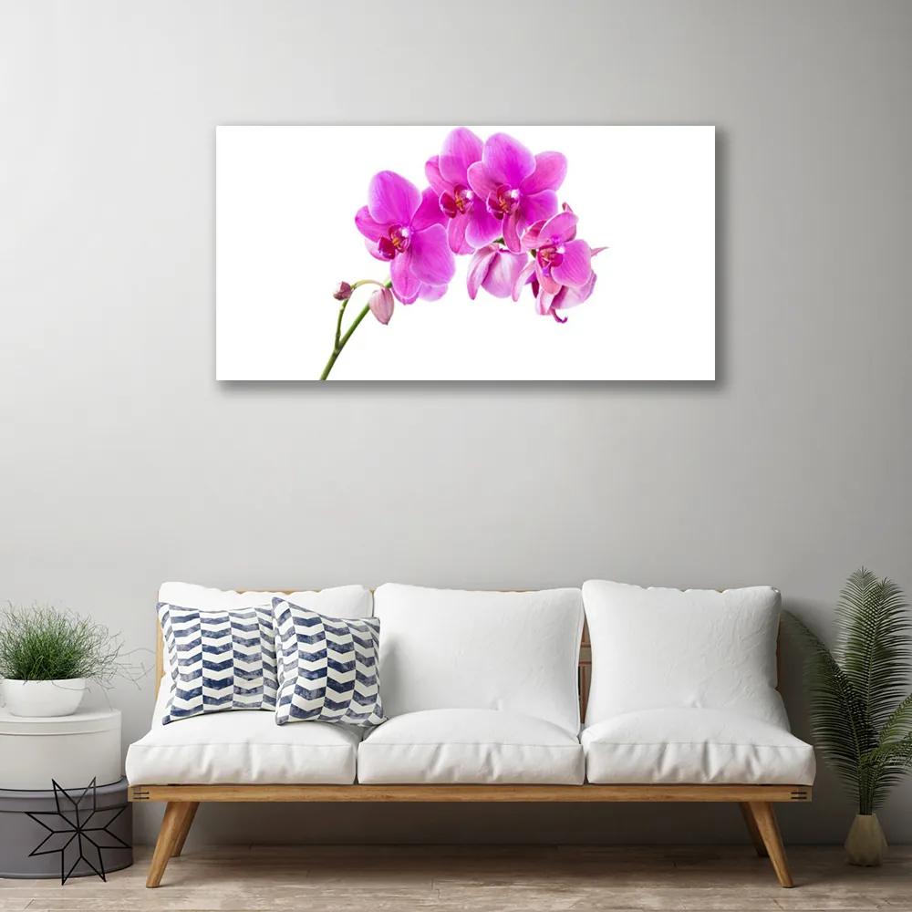 Obraz Canvas Vstavač kvet orchidea 140x70 cm