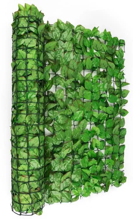 Fency Bright Leaf, plot na ochranu pred pozorovaním, ochrana pred vetrom, 300 x 100 cm, buk, svetlozelený