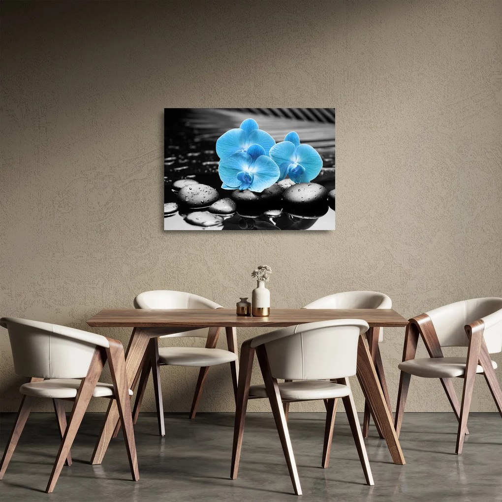 Sklenený obraz - Modrá orchidea (70x50 cm)