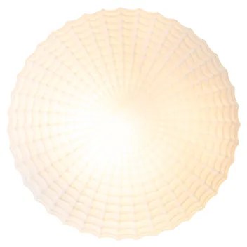 Klasické stropné svietidlo čierne s opálovým sklom 23 cm IP44 - Nohmi