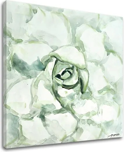 Obraz na plátne KVET