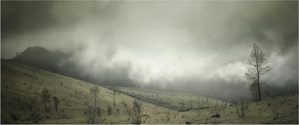 Obraz krajiny pred búrku (120x50 cm)