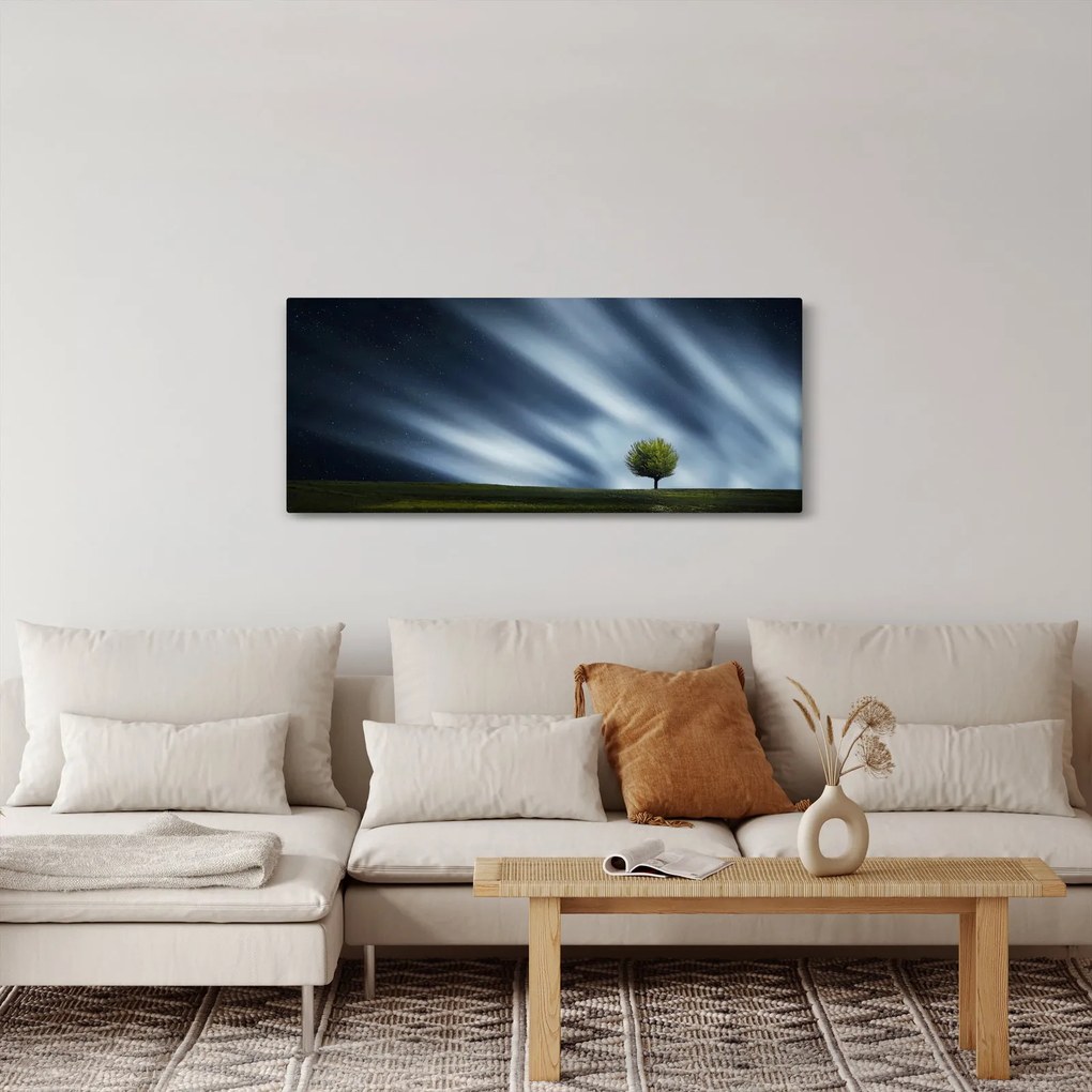 Obraz polárna žiara nad vresoviskom (120x50 cm)