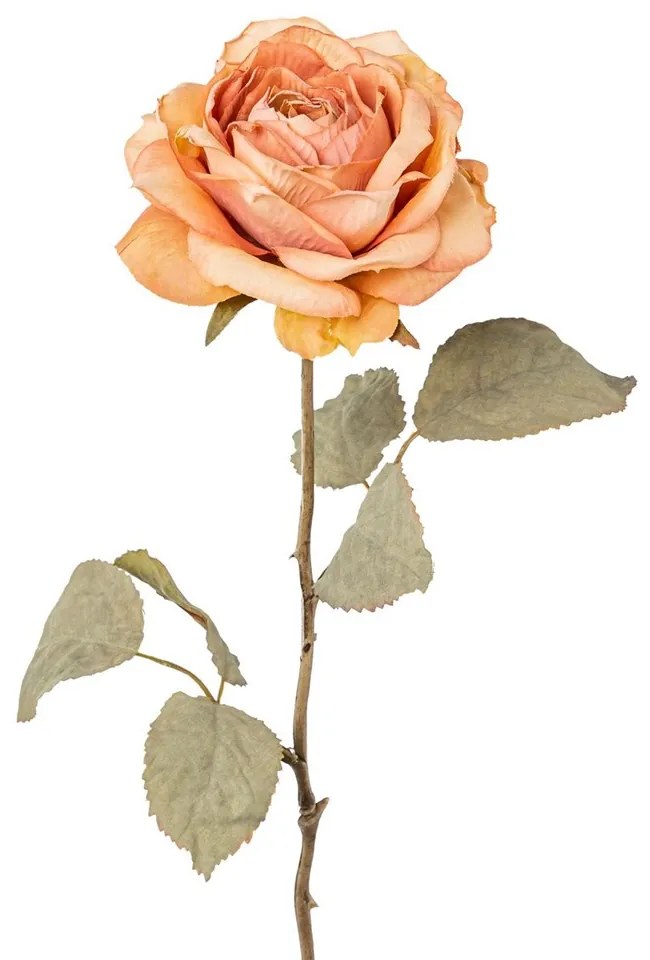 Gasper Ruža 56cm staroružová